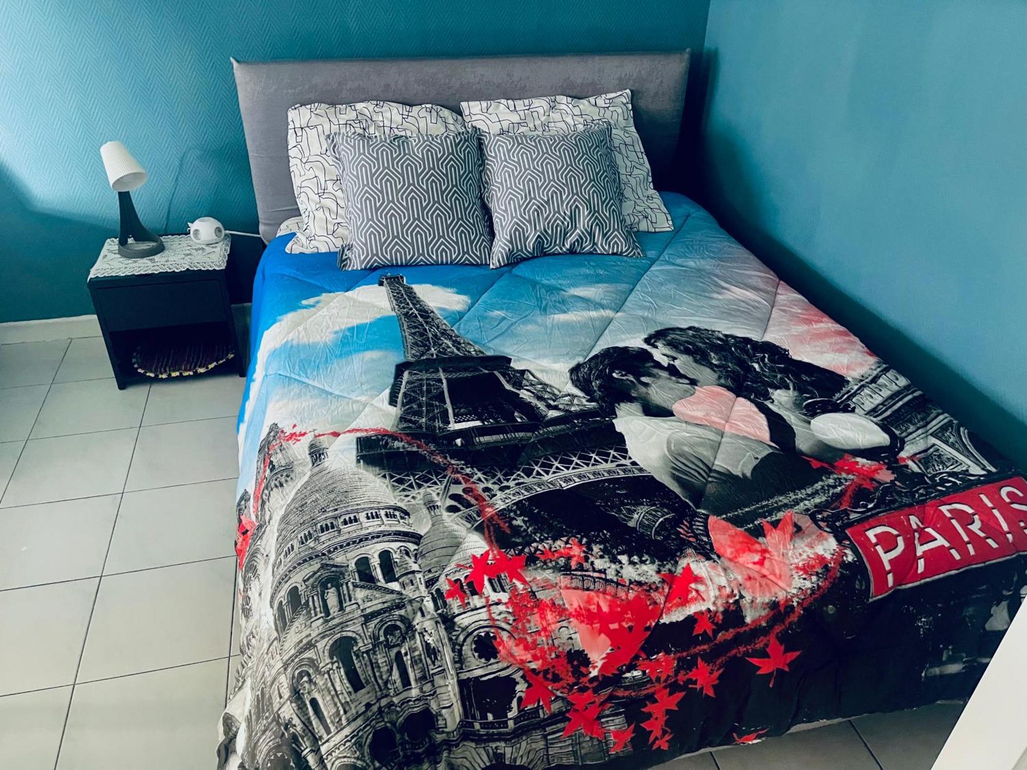 Confortable A Centre Cote Bel Terrasse Paddle Appartement
